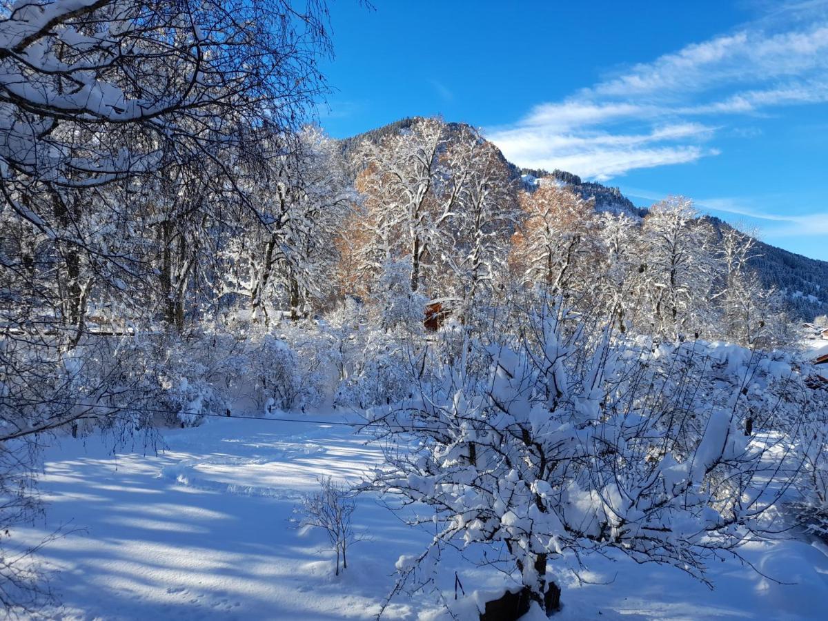 Schanzblick Apartment Bad Hindelang