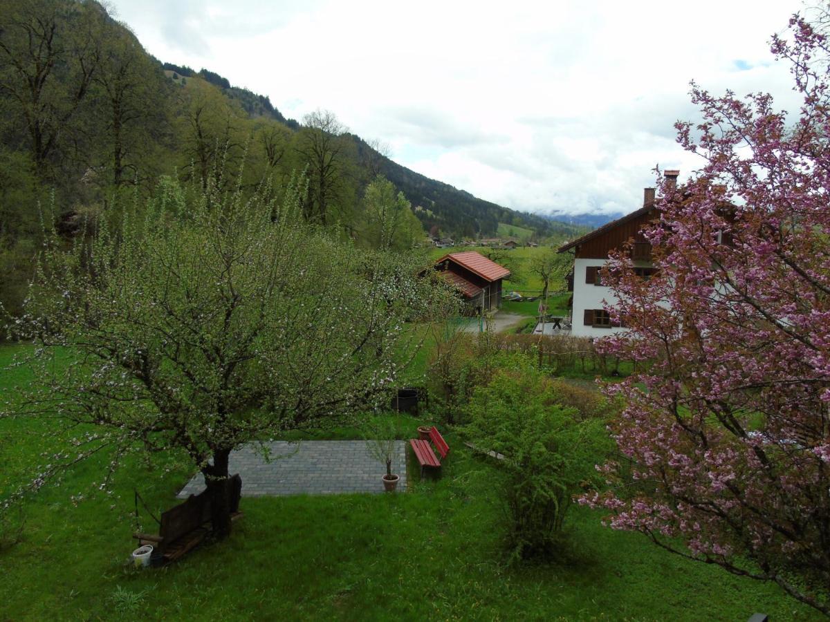 Apartment Schanzblick Bad Hindelang